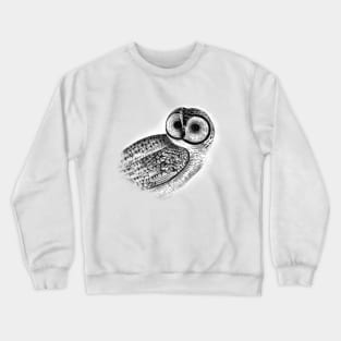 Mystic Owl Crewneck Sweatshirt